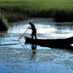 Delta Dunarii, Foto: Wikipedia, utilizator: Goliath