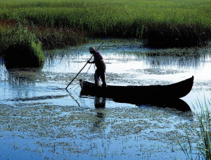 Foto: Wikipedia, Utilizator: Goliath