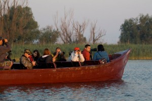 Foto: Ovidiu Balaban web: http://ovidiubalaban.blogspot.com