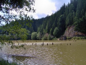 Lacul Rosu